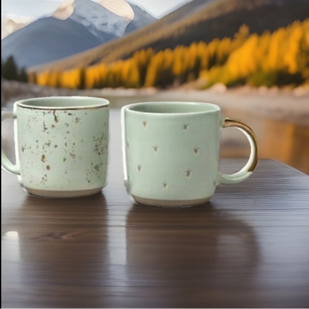 Hearth & Hand Gold Star and Speckled Small Mugs
